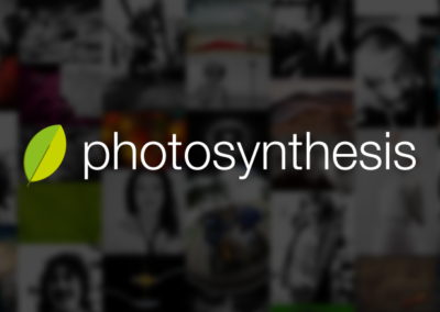 Photosynthesis – динамиката на един пъстър бранд