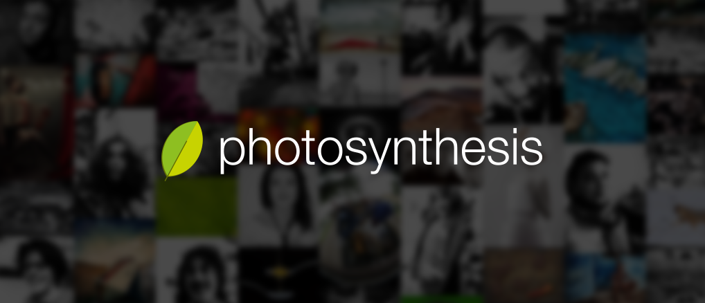 Photosynthesis – динамиката на един пъстър бранд