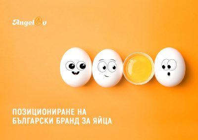 Creative positioning in social networks of a Bulgarian egg farm