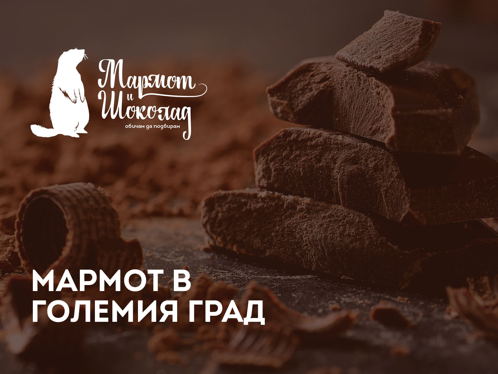Мармот в големия град - Social Freaks